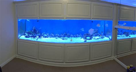 fish tanks near me|Fish tanks for sale .
